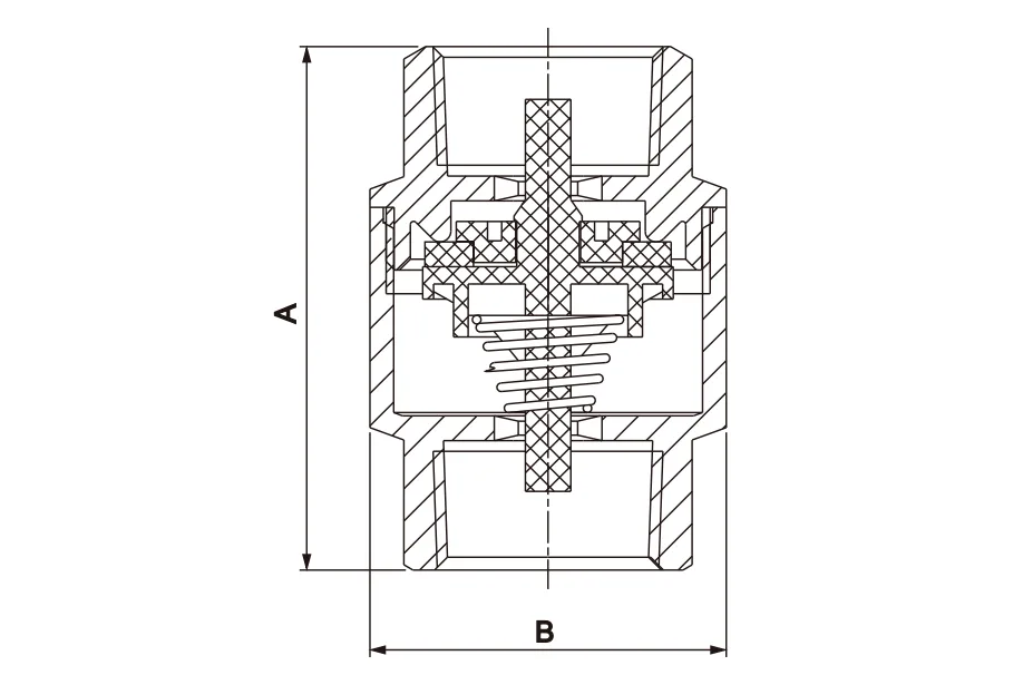 Spring Check Valve