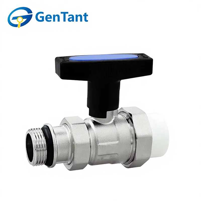 Válvula de retorno de vástago largo