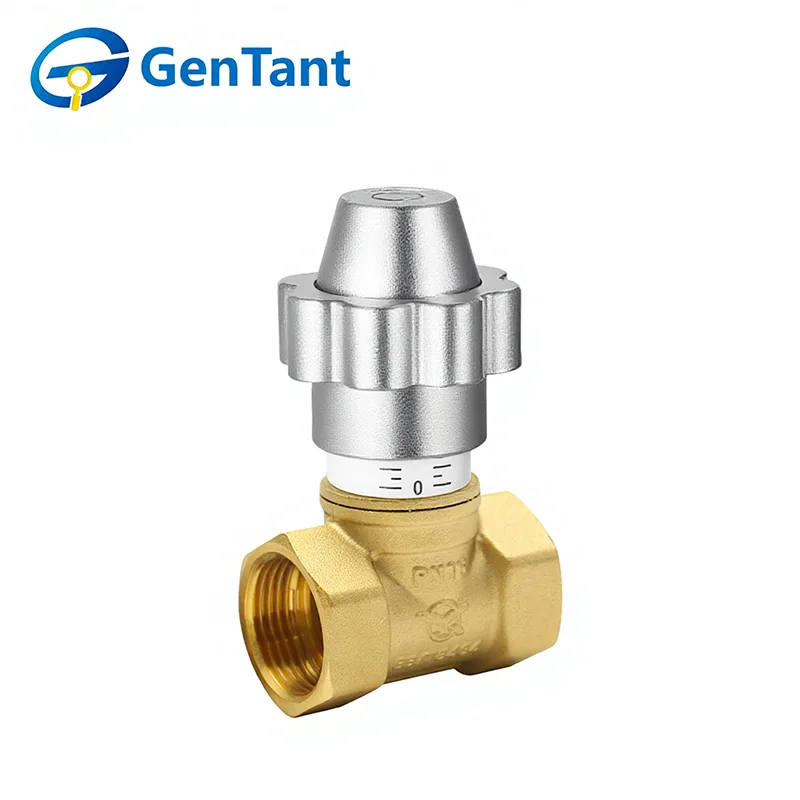 Válvula de globo de control de flujo bloqueable magnética