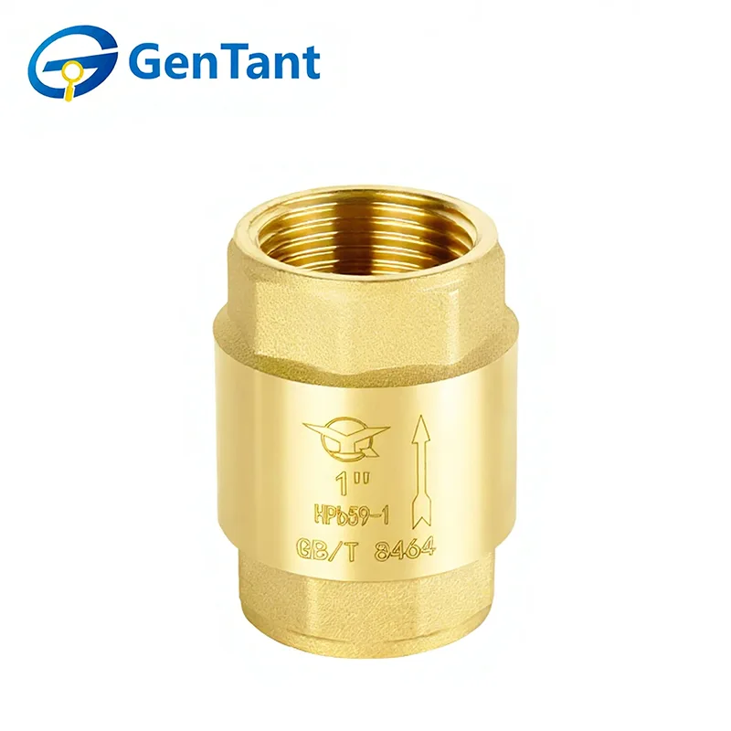 Válvula de retención de resorte